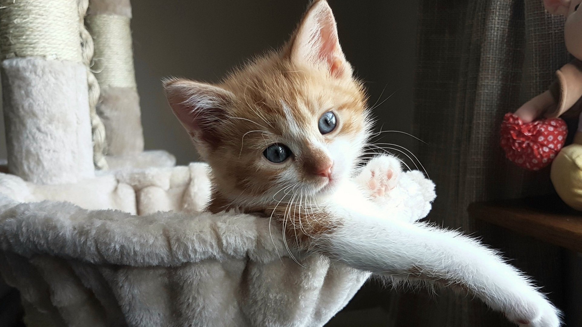 血性的两种表达式，当绿茵鏖战遇见孤岛突破