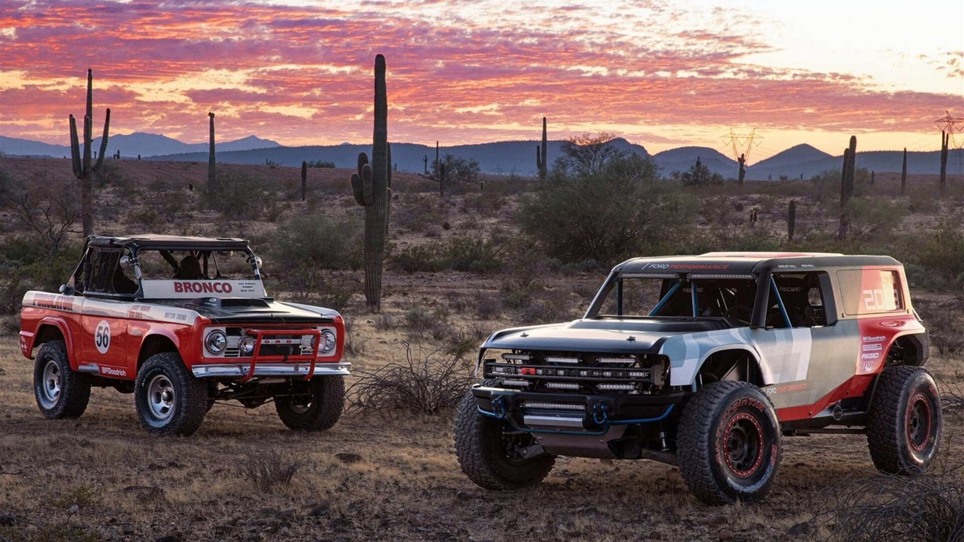 勇士战术压制辽宁队,贝恩关键先生定乾坤