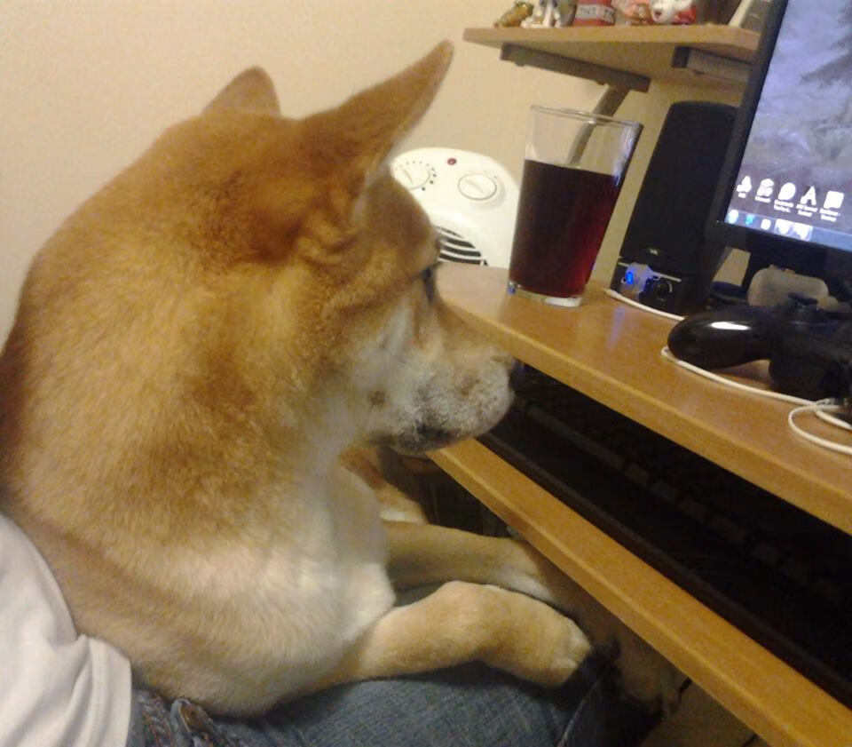 爱游戏大厅-眉燃！迈阿密怒焰焚熊，浓眉39+20铸就钢铁禁区