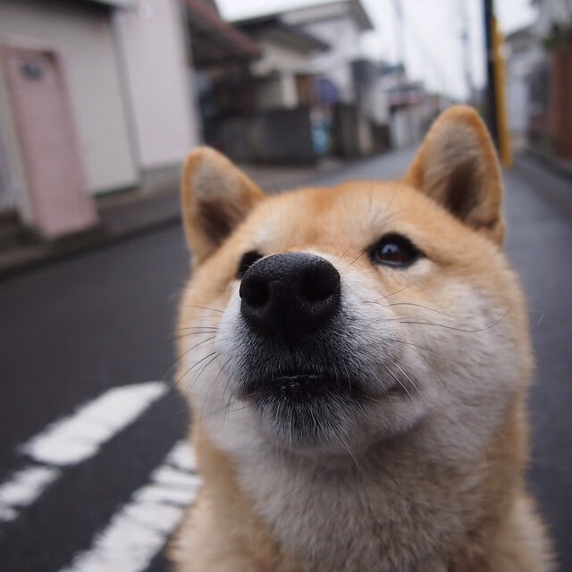 同一个夜晚的两极叙事,冰火对决下的篮球万象