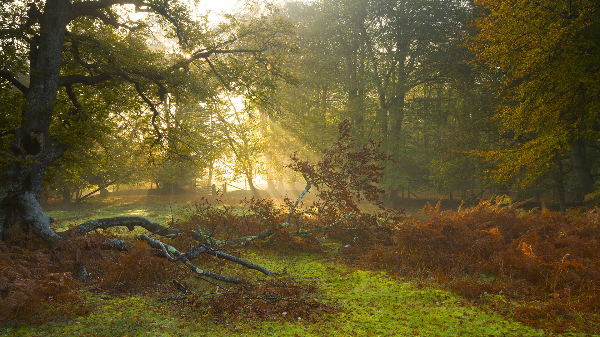 双星闪耀夜，C罗里程碑拉什福德绝杀，定义大场面先生真谛