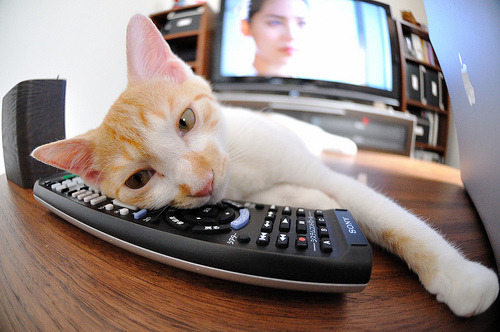 速度与高度，两个赛场揭幕的荣耀之战