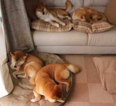 天山风暴席卷俄城，沉默火山范弗利特在重压下完成惊艳爆发