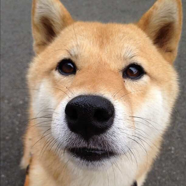 烈火冰锋，当水花之矛刺穿苍穹，南海岸之盾却让浙江黯然