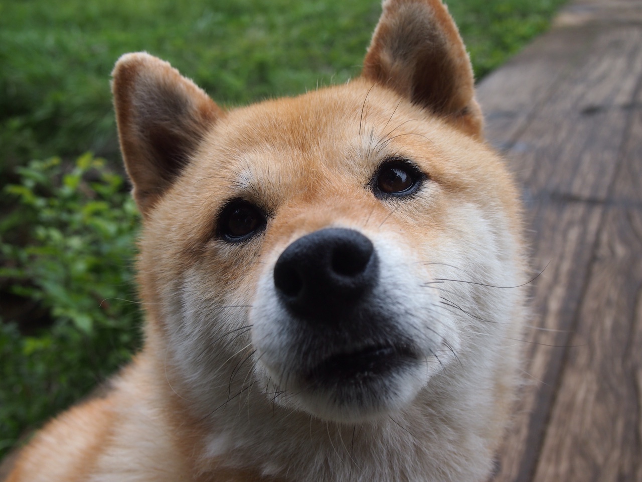 神迹诞生！洛杉矶暗夜中，残阵湖人如何撕裂北境之王？