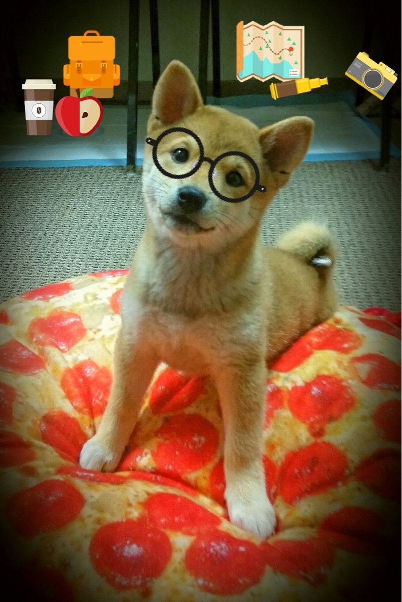 金州锁链封死浙江狂潮 哈登冠军级掌控定江山