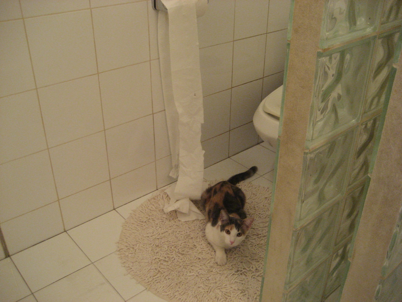 冰河出鞘，当詹姆斯不再沉默，深圳在加时血刃中定义关键