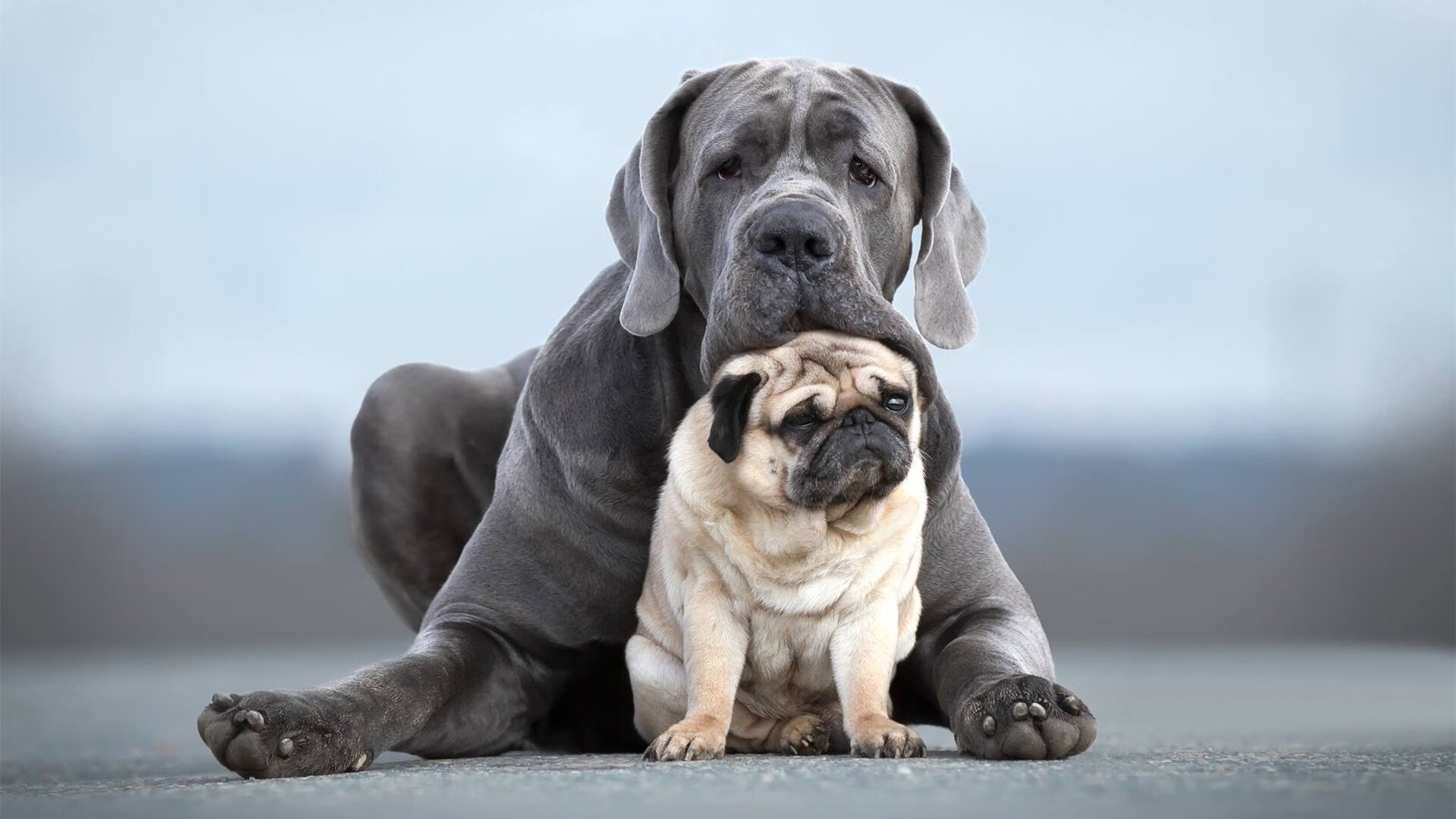 罗德里降维收割，一场足球战争如何定义美洲新秩序