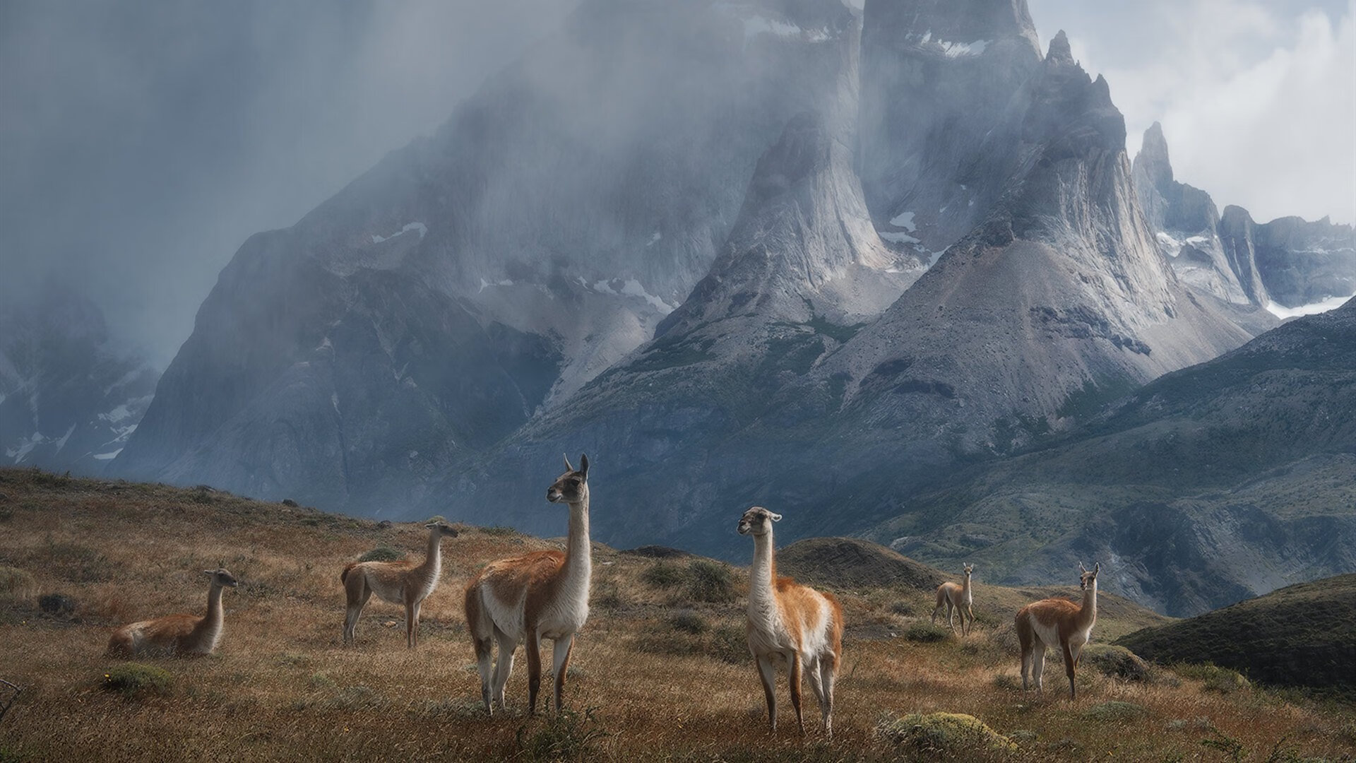 解密2026世界杯之夜，当完全无解成为贝恩的封神注脚