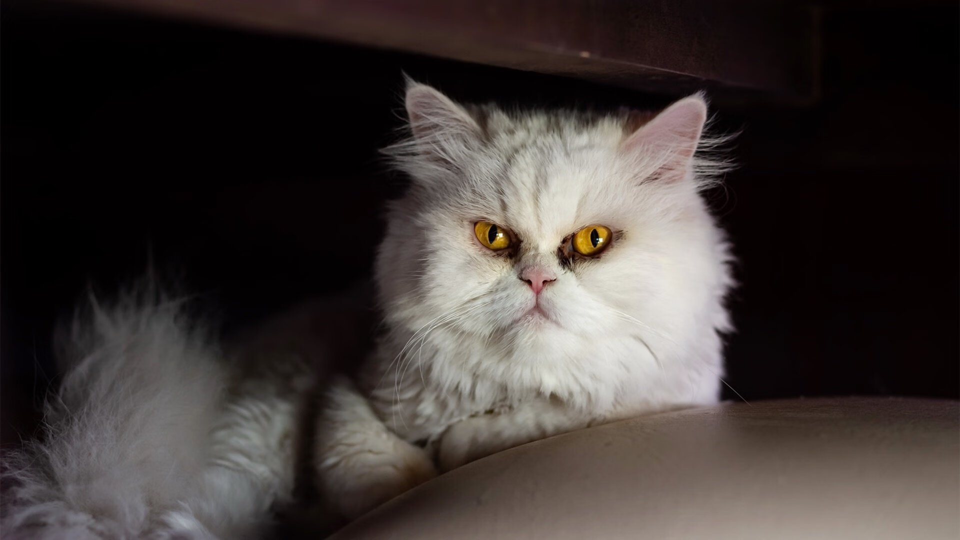 深圳铁骑冲垮开拓者防线，马克西孤胆英雄难救主