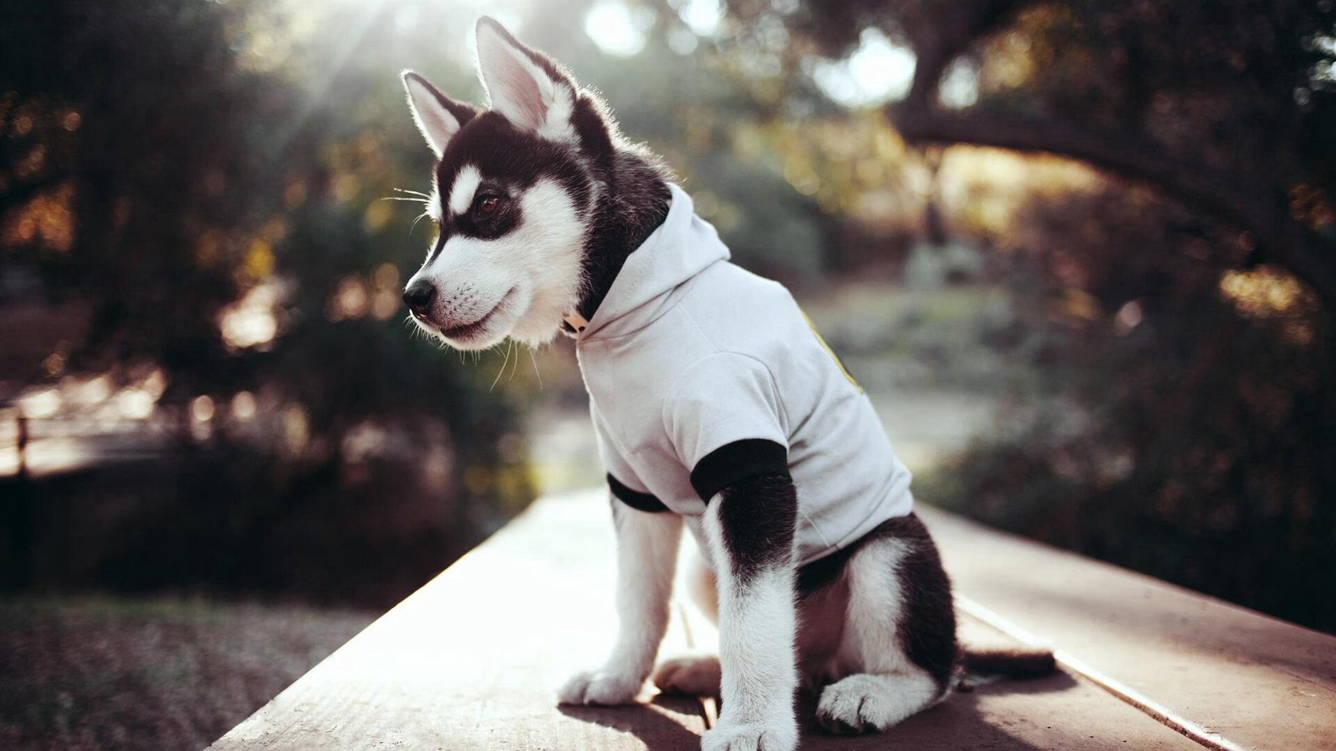 中投史诗与爵士意志，当德罗赞的复古艺术点燃逆转烽烟