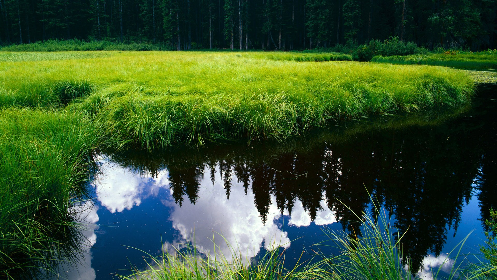 欧冠淘汰赛焦点战！公牛式防守如何锁死新疆队？