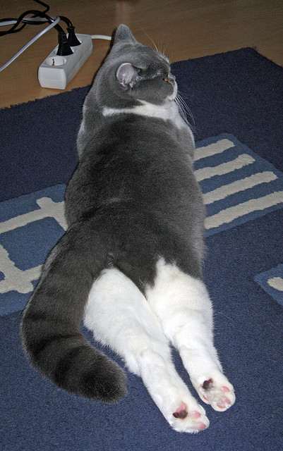 当利拉德时间遇上北京洪流，原来证明与压制是篮球的一体两面