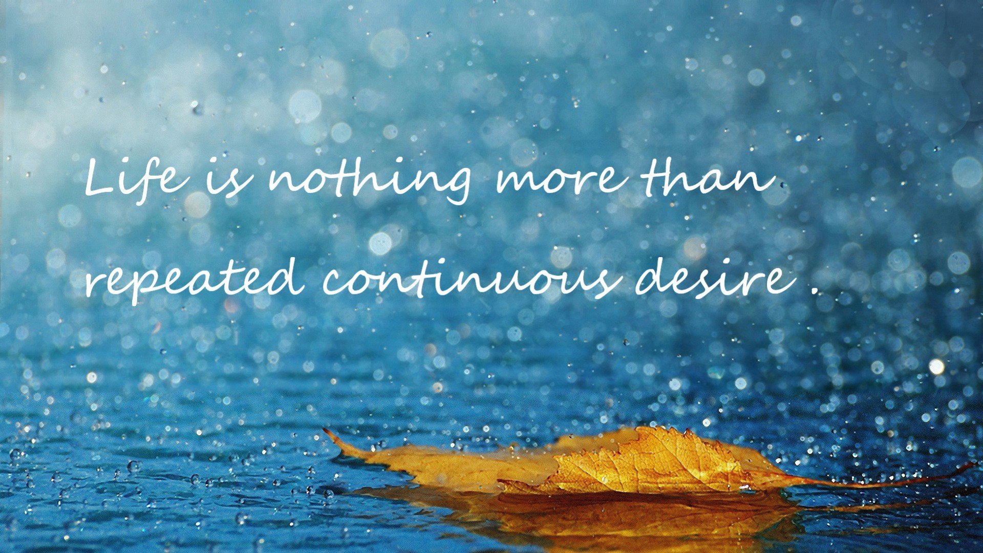 爱游戏APP-波斯弯刀，刺穿德甲堡垒，伊朗球队的绝杀史诗