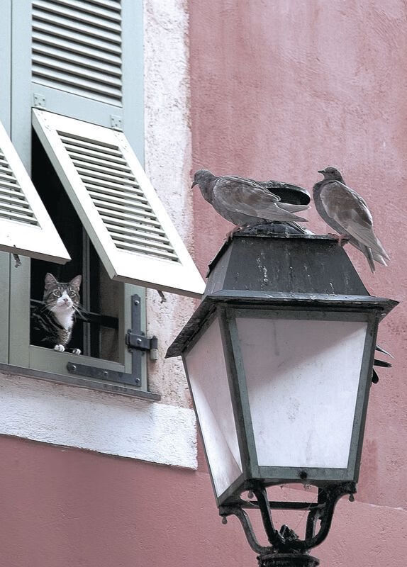 爱游戏-两种火热，一种篮球，一种足球，安哥拉鏖战芬兰，金玟哉状态火热