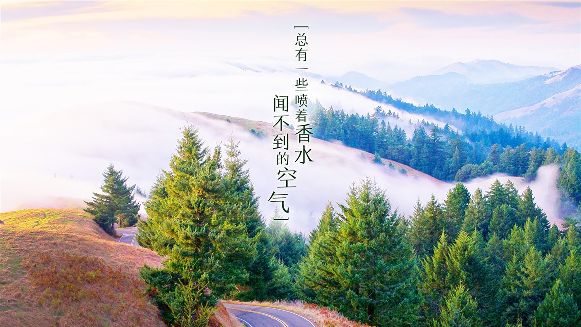 2026世界杯D组暗夜惊雷,罗马尼亚碾压葡萄牙,维尼修斯以一人之力改写足球版图