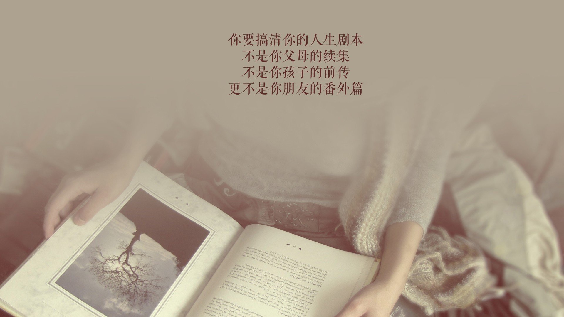 孤峰之巅,2026世界杯B组强强对话,厄瓜多尔控掌乾坤,吉鲁闪耀终结伊朗