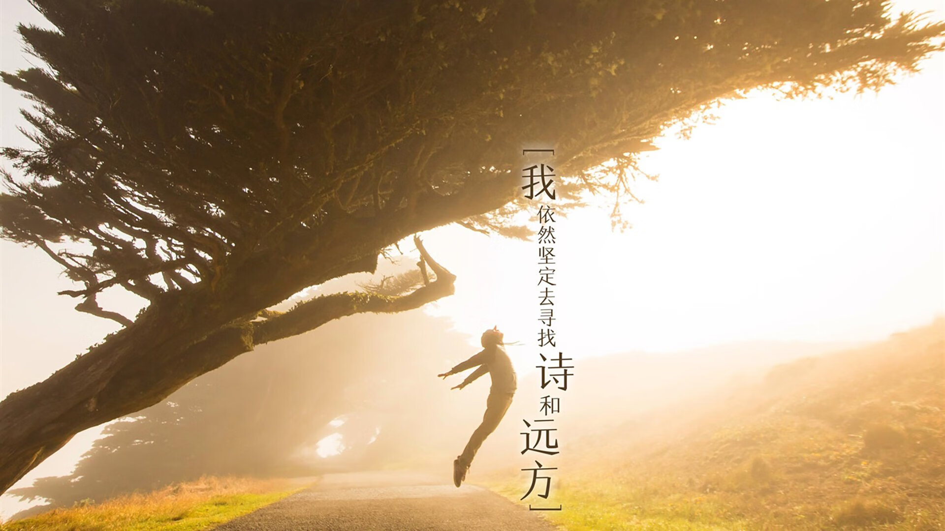 宿命的回响，2026，瑞士与伊朗的蓝桥遗梦，维尼修斯的加冕礼