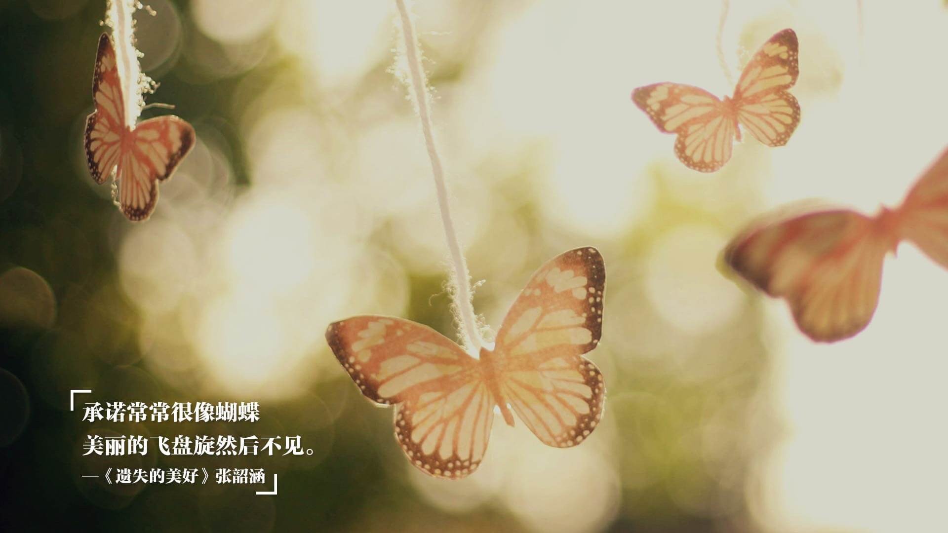 无解的节奏，唯一的王座，当厄瓜多尔在D组用完胜重写足球的物理法则